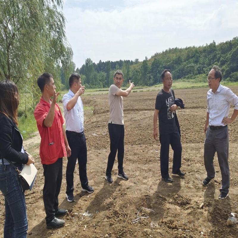 淮南市农科院扎实推进科技特派员工作--助力明光市草莓种植发展
